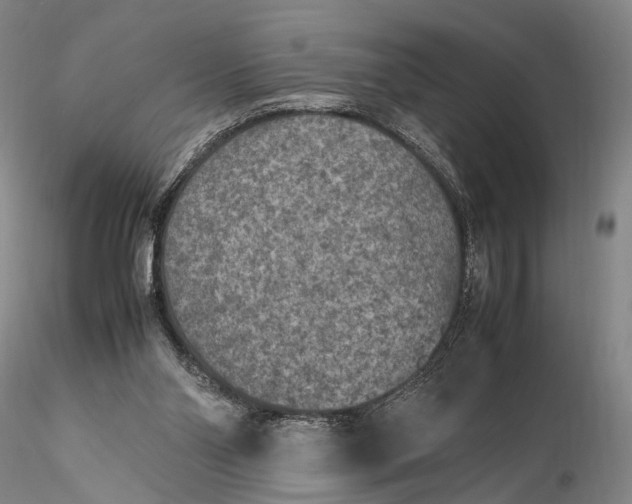 X0000115600110200912011536