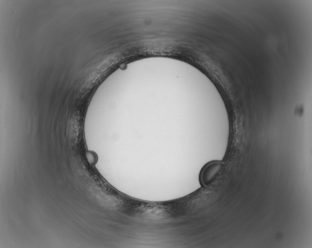 X0000115600113200912011536