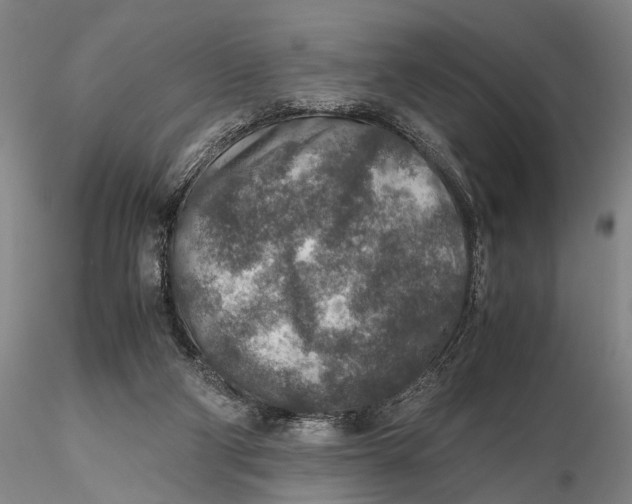 X0000115600114200912011536