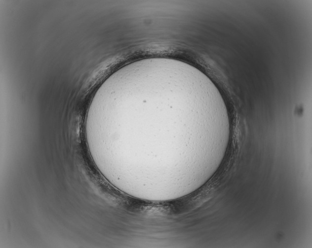 X0000115600115200912011536