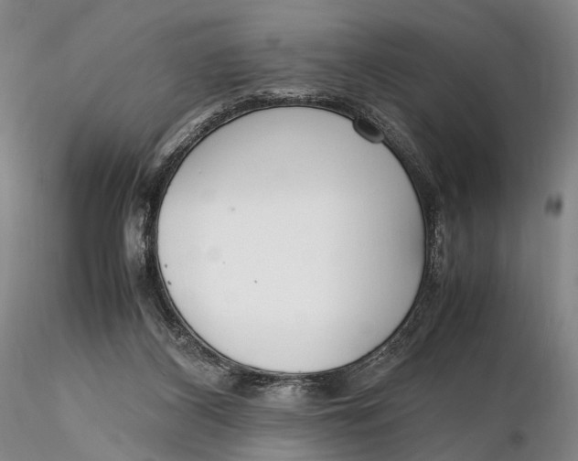 X0000115600116200912011536