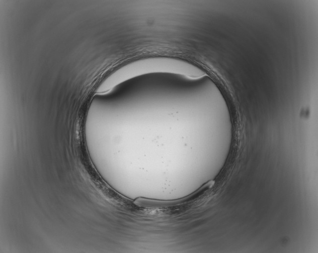 X0000115600117200912011536