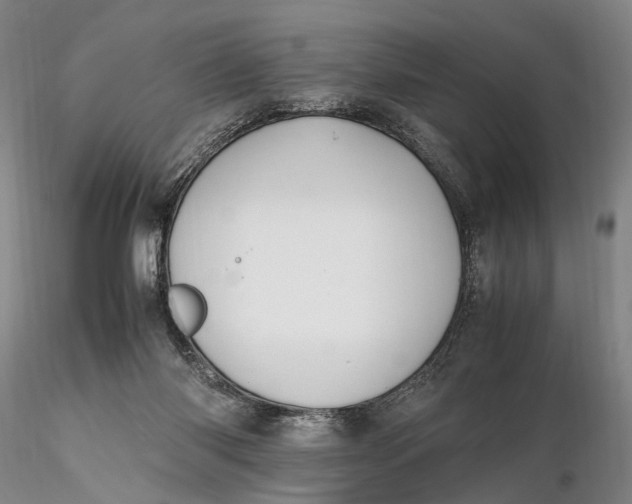 X0000115600118200912011536