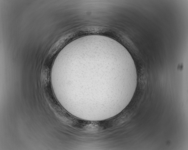 X0000115600119200912011536