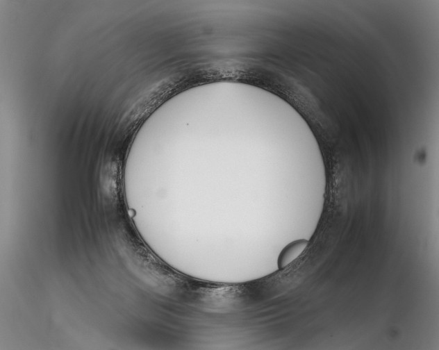 X0000115600122200912011536