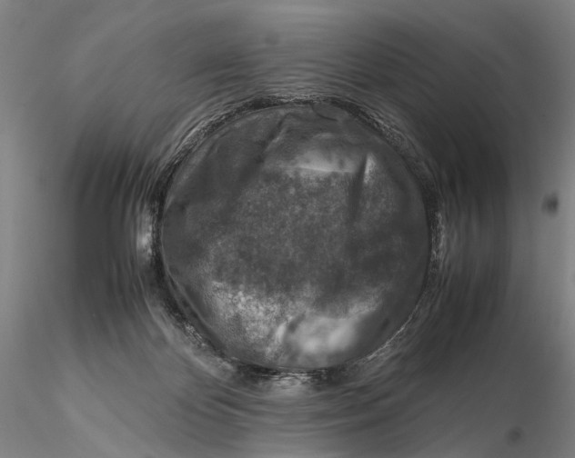 X0000115600124200912011536