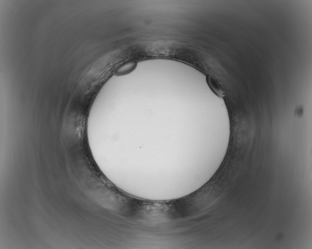 X0000115600125200912011536