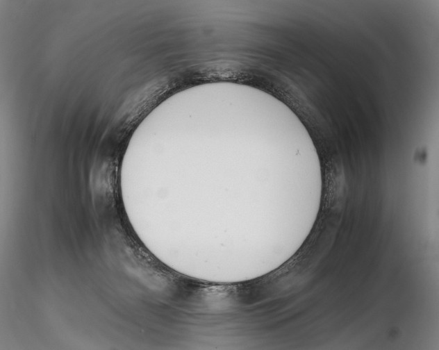 X0000115600126200912011536