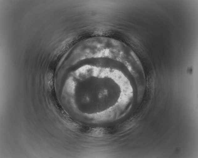 X0000115600127200912011535