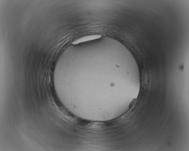 X0000115600128200912011535