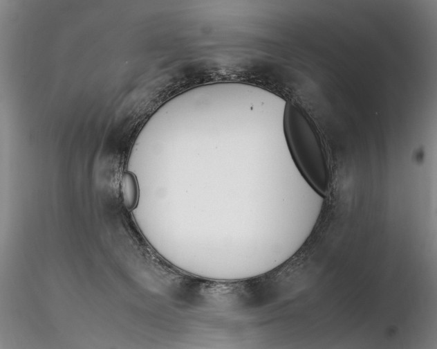 X0000115600129200912011535