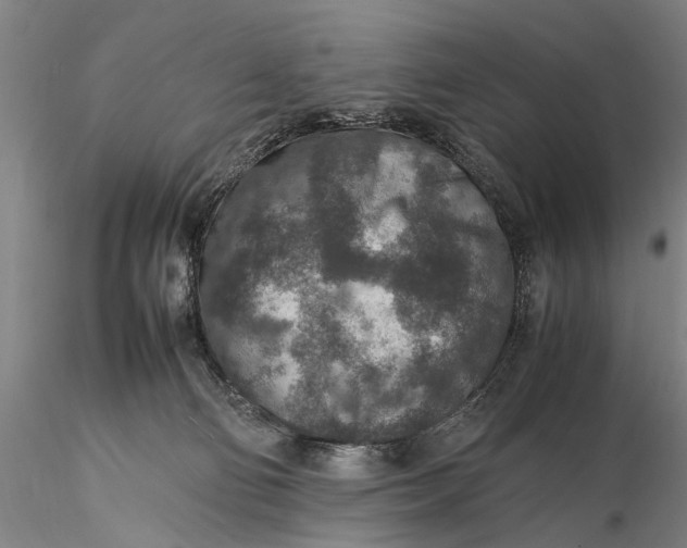 X0000115600130200912011535