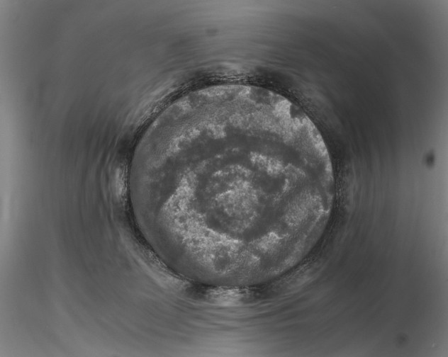 X0000115600131200912011535