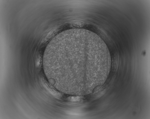 X0000115600134200912011535