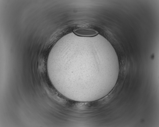 X0000115600136200912011535