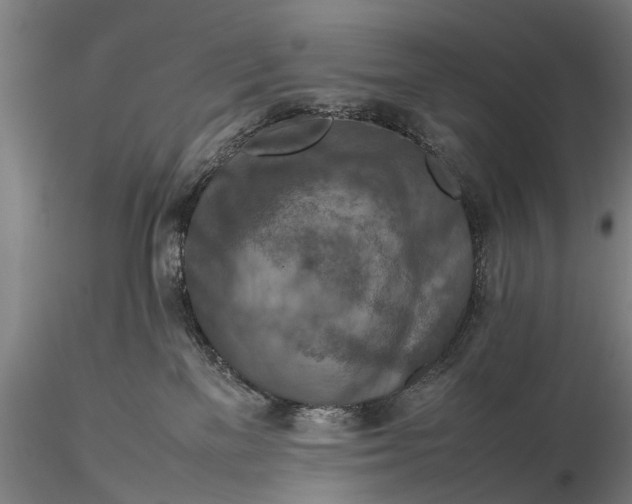 X0000115600137200912011535