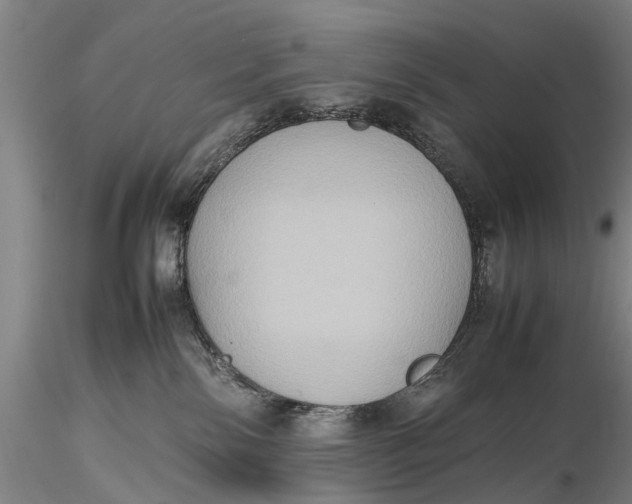 X0000115600138200912011535