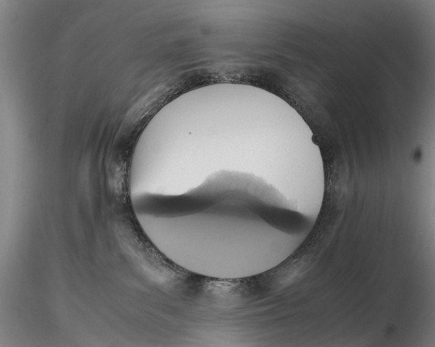 X0000115600139200912011535