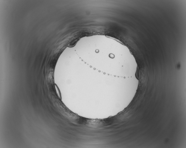 X0000115600141200912011535