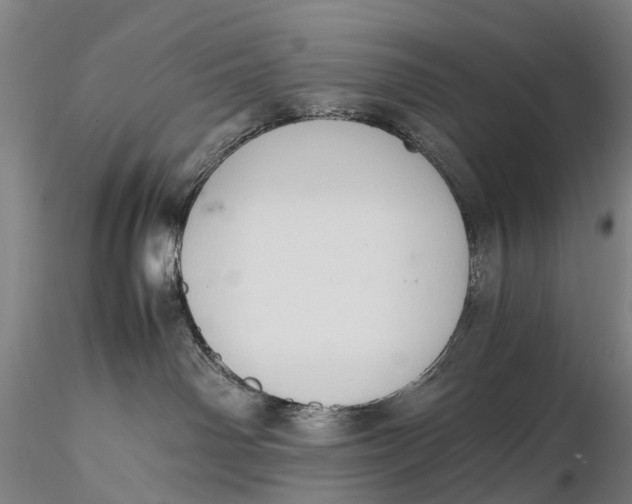 X0000115600142200912011535