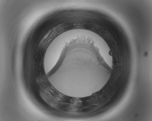 X0000115600143200912011535