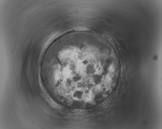 X0000115600145200912011534