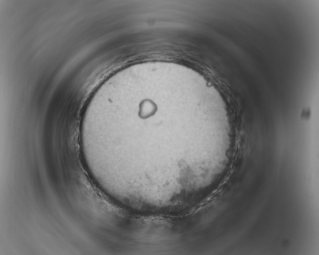 X0000115600146200912011534