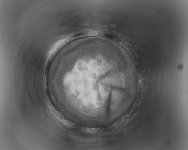 X0000115600149200912011534