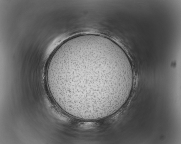 X0000115600151200912011535