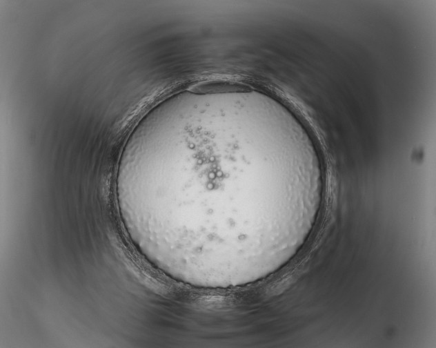 X0000115600153200912011535