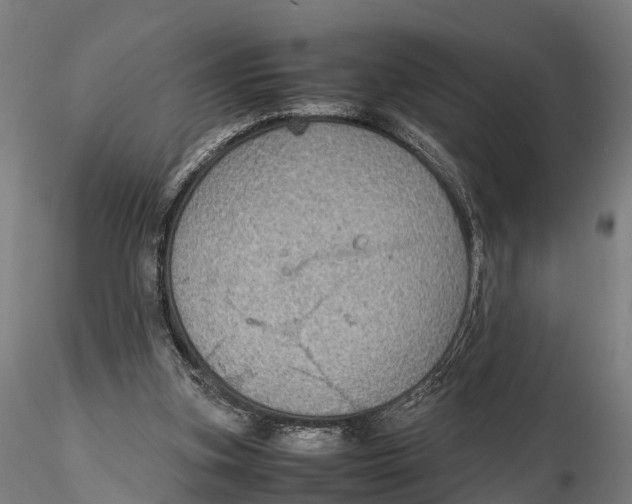 X0000115600155200912011535