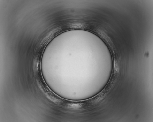 X0000115600157200912011535