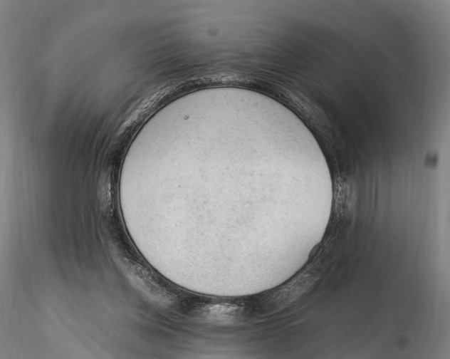 X0000115600158200912011535