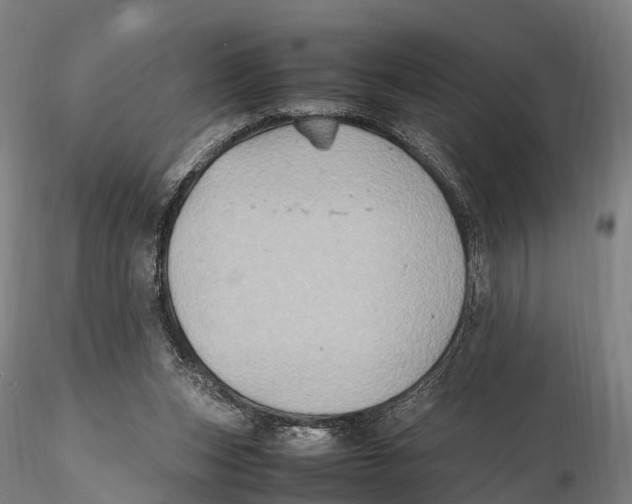 X0000115600159200912011535