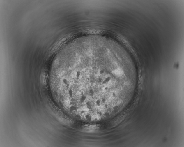 X0000115600161200912011535