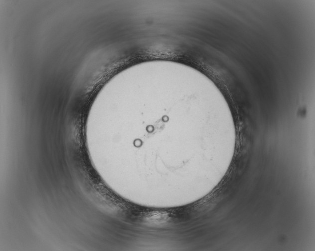 X0000115600162200912011535