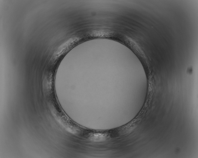 X0000115600163200912011535