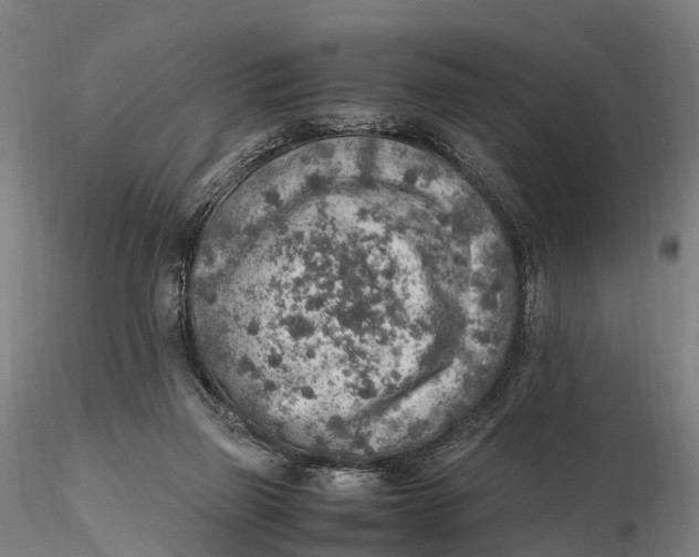 X0000115600165200912011535