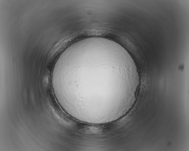 X0000115600166200912011535