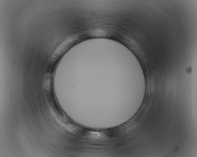 X0000115600167200912011535