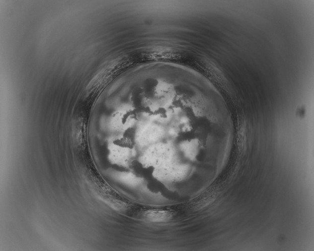 X0000115600169200912011535