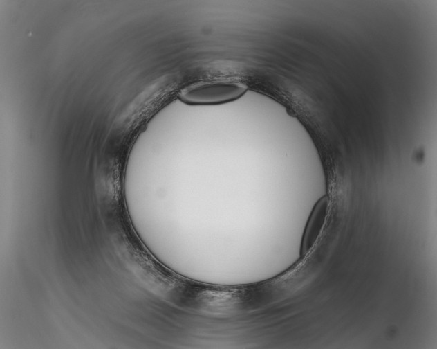 X0000115600170200912011535