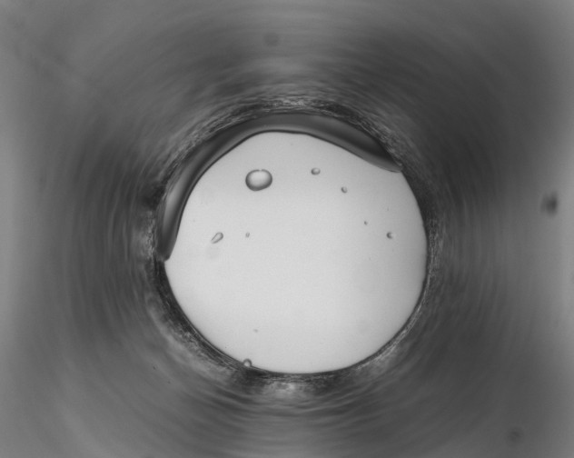 X0000115600174200912011535