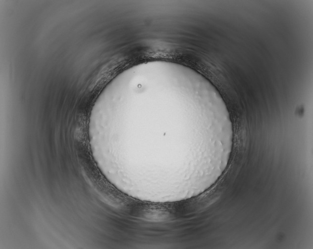 X0000115600175200912011535