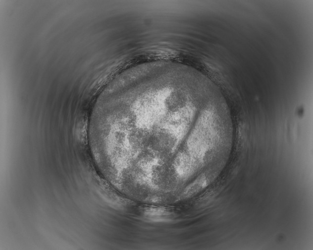 X0000115600177200912011535