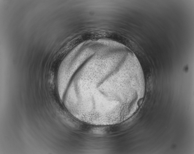 X0000115600178200912011535