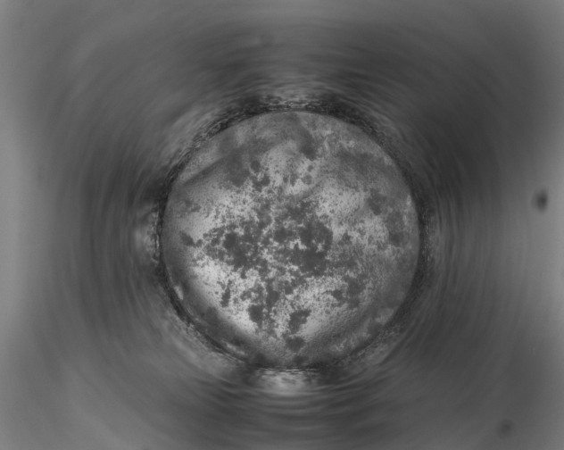 X0000115600181200912011535