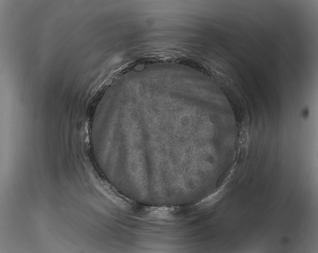 X0000115600182200912011535