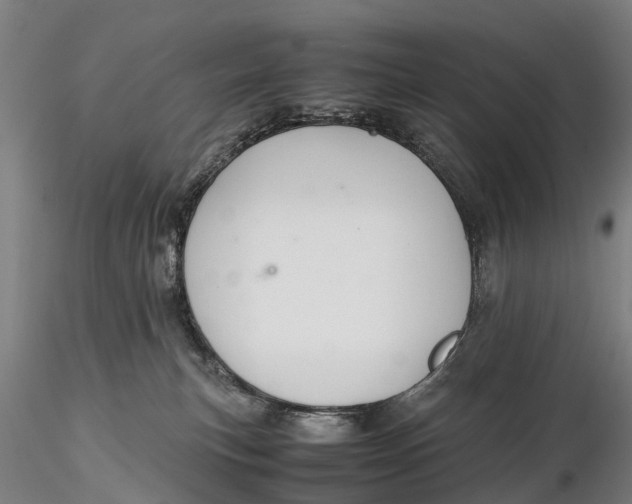 X0000115600183200912011535