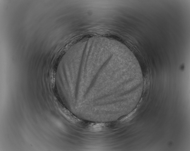 X0000115600186200912011535